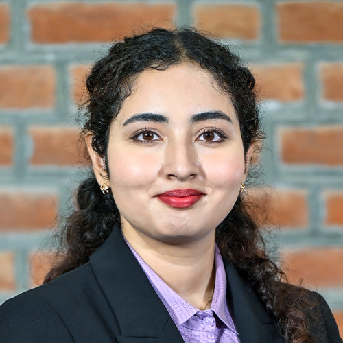 Soundarya Lahari Solasa